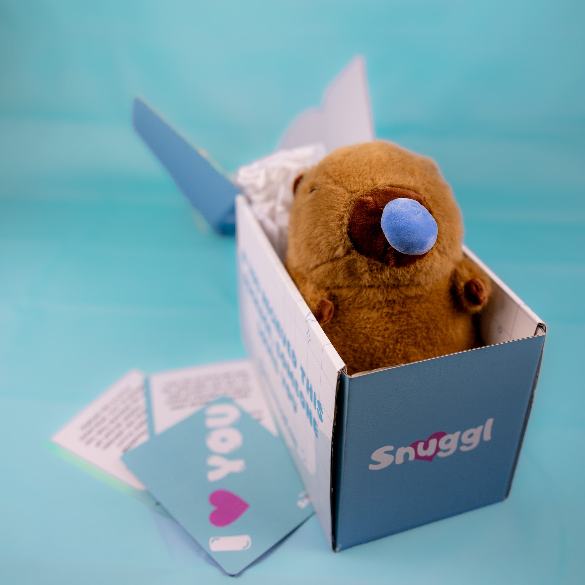 Coco The Capybara